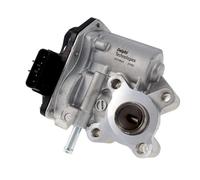 Delphi Technologies EG10633-12B1 Valvola EGR
