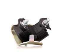 DELPHI TEM002 Supporto motore