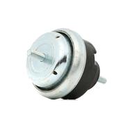 DELPHI TEM066 Supporto motore