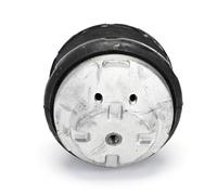 DELPHI TEM132 Supporto motore