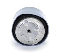 DELPHI TEM202 Supporto motore