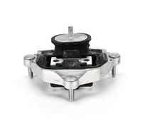 DELPHI TEM275 Supporto, Cambio automatico