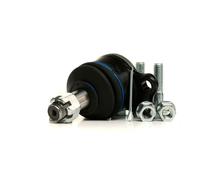 DELPHI Testina braccio oscillante per SSANGYONG Rexton / Rexton II (GAB) TC3389