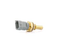 Delphi Sensore temperatura refrigerante TS10253 per Opel Zafira B (A05) Astra J