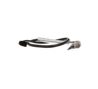 Sensore, temperatura gas di scarico DELPHI TS30176