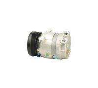 Delphi TSP0155009 Compressore Clima