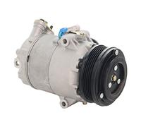 DELPHI Compressore, Climatizzatore compatibile con OPEL VAUXHALL GENERAL MOTORS