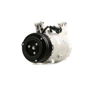 DELPHI TSP0155308 Compressore aria condizionata Delphi 6CVC PAG 46