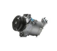 DELPHI TSP0155449 Compressore aria condizionata Delphi 6CVC PAG 46 per OPEL