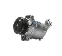 DELPHI TSP0155449 Compressore aria condizionata Delphi 6CVC PAG 46
