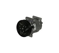 DELPHI TSP0155831 Compressore aria condizionata 250ml