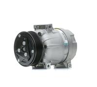 DELPHI TSP0155897 Compressore aria condizionata Compressore Aria Condizionata Compressore clima Compressore condizionatore