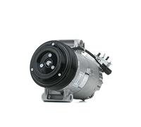 Delphi Compressore aria condizionata TSP0155928 PAG 46 per NISSAN