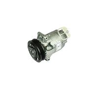 DELPHI Compressore, Climatizzatore compatibile con OPEL VAUXHALL TSP0155930