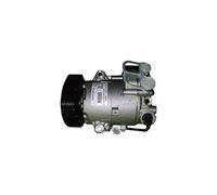 Compressore climatizzazione PAG 46 TSP0155966 DELPHI per OPEL ASTRA J GTC