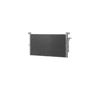 Delphi TSP0225419 Condensatore Clima