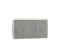 DELPHI TSP0325296C Filtro abitacolo