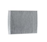 DELPHI TSP0325321C Filtro abitacolo