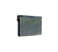 DELPHI TSP0525176 Evaporatore climatizzatore senza valvola d'espansione