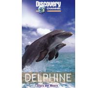 Delphine - Discovery Channel