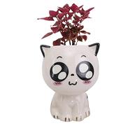 delr decorazione tavoli | ceramica a forma di gatto per la coltivazione di erbe | Piante decorazione Scrivania per la casa, ufficio, cortile