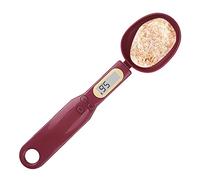 delr Scala del misurino - Bilancia da Cucina Digitale a Cucchiaio 500g/0.1g | Piccola Bilancia a Cucchiaio dosatore per Cucinare, cuocere al Forno e Regolare Alimenti, tè, caffè ed Erbe aromatiche