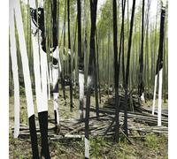 Delrey, Bosco - Green Tiger'S Alibi