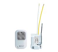 DELTA DORE - 6351396 Pacchetto Telecomando e Ricevitore ad impulsi Pack Tyxia 7