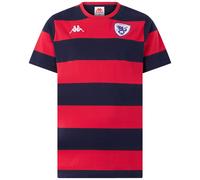 DELTA ROVIGO RUGBY Tshirt RAPPRESENTANZA uomo IN COTONE mod AVIREC