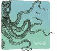 DELTA SLEEP - TWIN GALAXIES (10 YEAR ANNIVERSARY) (BLUE AND GREEN VINYL)