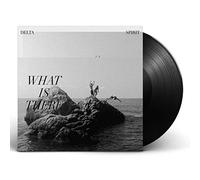 Delta Spirit - What Is There