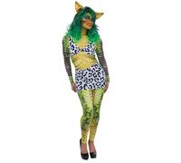 All In One, Top, Skirt & Ears Women's Costumes NUOVO