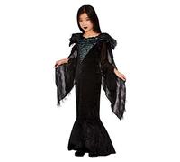 Deluxe Raven Princess Costume, Black, Dress, Cape & Headdress (S)