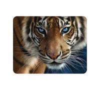 Deluxebase Calamita 3D LiveLife - Occhi Blu Calamita da Frigorifero 3D Lenticolare con Tigre. Decorazioni magnetiche per Bambini e Adulti con Opera d'Arte del celebre Artista Collin Bogle