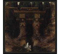 Delve Into The Mysteries Of Transcendence