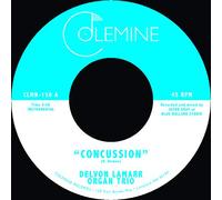 Delvon Lamarr Organ Trio - Concussion / Memphis
