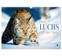 Dem Luchs auf der Spur (Wandkalender 2027 DIN A3 quer), CALVENDO Monatskalender