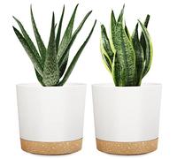 DEMACIYA Vasi per piante da interno, 20 cm, vasi da fiori in plastica con fori di drenaggio e piattini, decorazione per casa, giardino, esterno, bianco, moderno vaso per erbe aromatiche/aloe/piante