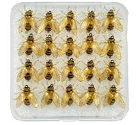 demaxiyad Esche da a mosca per bar, 20 esche a forma di ape, attrezzature per acqua, acqua salata, lago, fiume, stagno e mare profondo