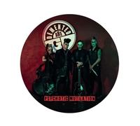 Demented Are Go Psychotic Mutilation (Vinyl LP) 12" Album Picture Disc