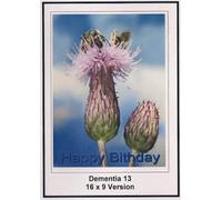 Dementia 13: 16x9 Widescreen TV.: Happy Birthday