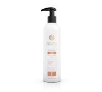 Demeral Professional Creative FLUIDO RICCI 250ml