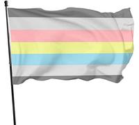 Demiflux Demi Gender Pride Bandiera a tema Stampata singola Festa di benvenuto Bandiera Casa Giardino Cortile Decorazione esterna 3 X 5 Ft Grande bandiera
