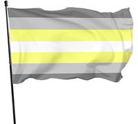 Deminonbinary Demi Gender Pride Bandiera a tema Singola stampata Festa di benvenuto Bandiera Casa Giardino Cortile Decorazione esterna 3 X 5 Ft Grande bandiera
