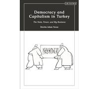 Democracy and Capitalism in Turkey: The State, Power, and Big Business