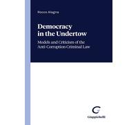 Democracy in the undertow. Models and criticism of the anti-corruption cri...