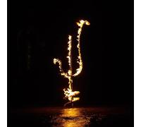 Demon Head Hellfire Ocean Void (CD) Album