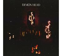 Demon Head Through Holes Shines the Stars (Vinyl LP)