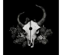 Demon Hunter - Summer of Darkness by Demon Hunter (2004) Audio CD