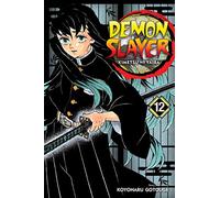 Demon Slayer: Kimetsu no Yaiba, Vol. 12 (Demon Slayer: Kimetsu no Yaiba)